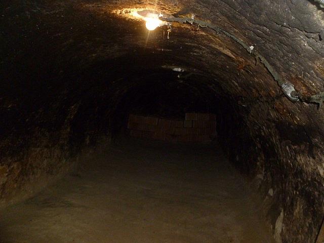 P1190735 [640x480]