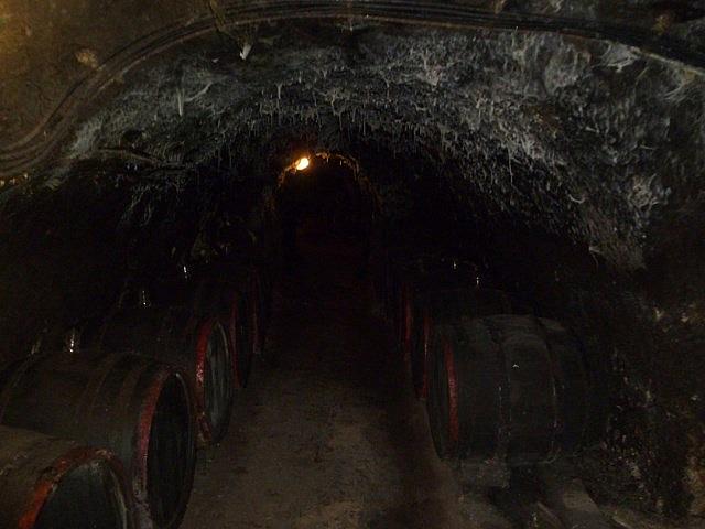 P1190742 [640x480]