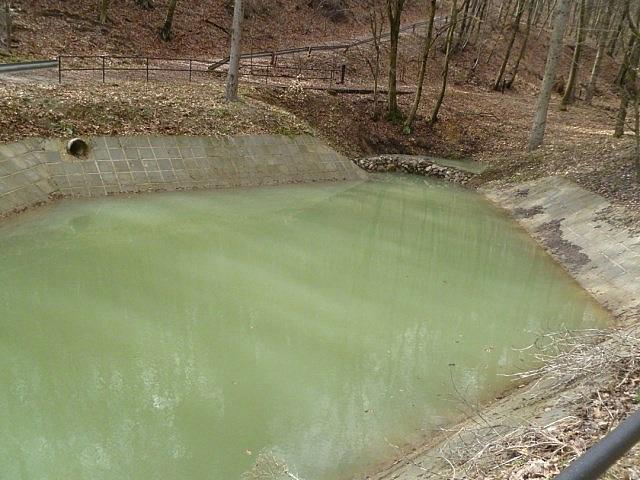 P1190779 [640x480]