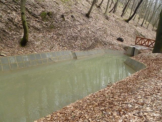 P1190787 [640x480]