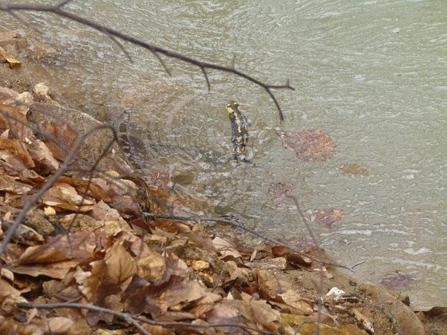 P1190789 [640x480]