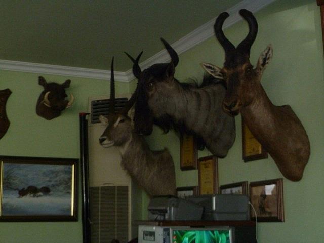 P1190820 [640x480]