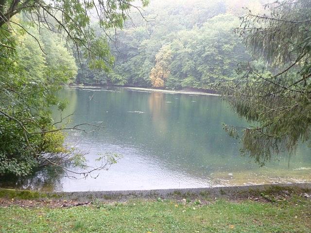 P1230166 [640x480]