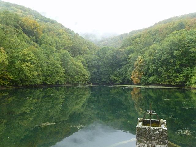 P1230187 [640x480]