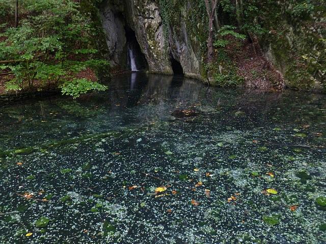 P1230198 [640x480]
