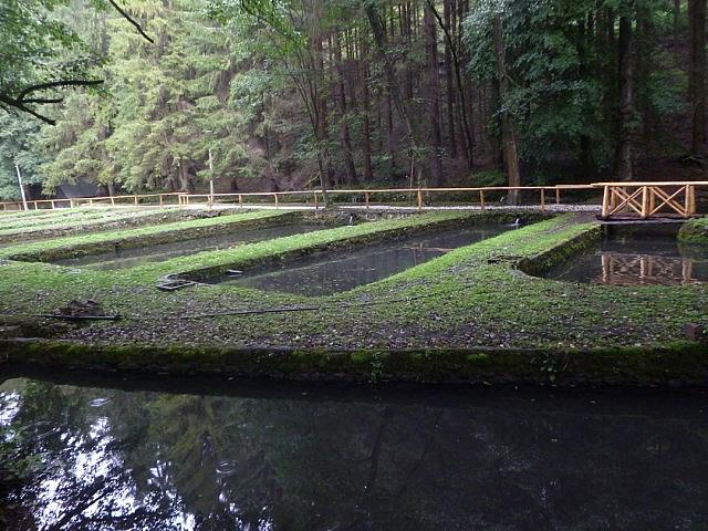 P1230200 [640x480]