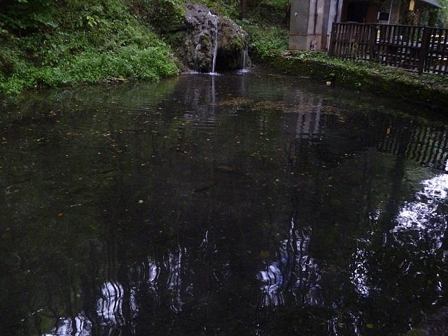 P1230202 [640x480]