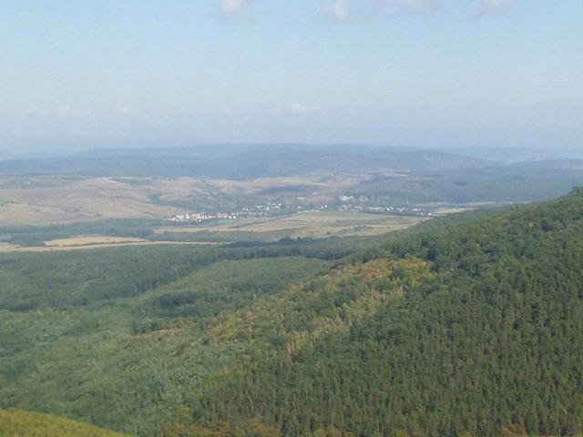 P1230222 [640x480]