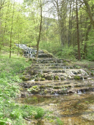 P1250160 [640x480]