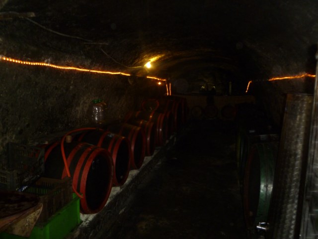 P1250179 [640x480]