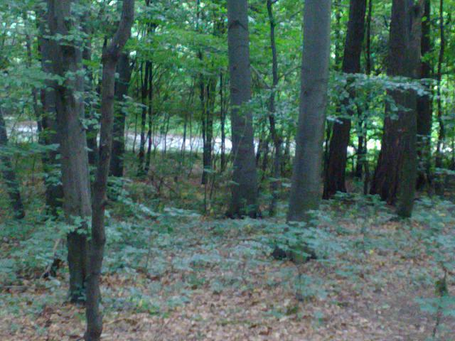 20090627656
