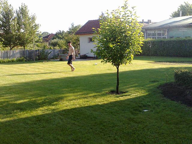 201007111323