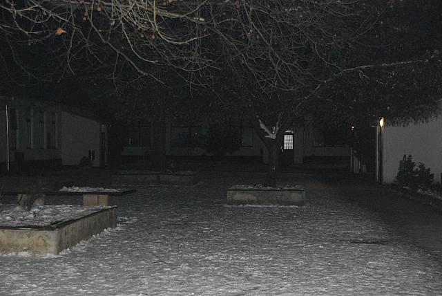 DSC 0280