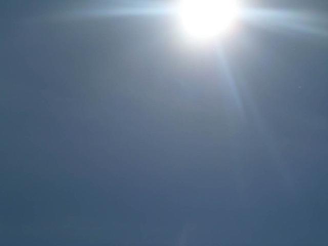 P1010133