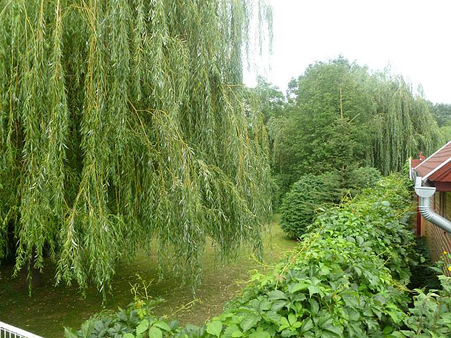 P1050394