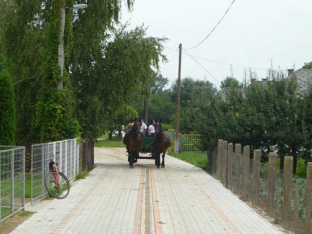 P1050399