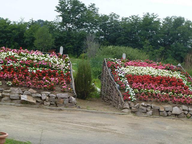 P1050428