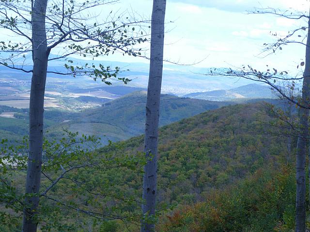 P1070350