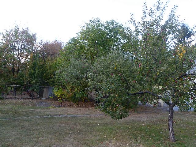 P1070410