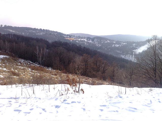 201103043048