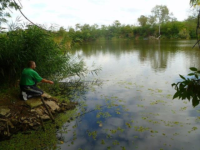 P1170114 [640x480]