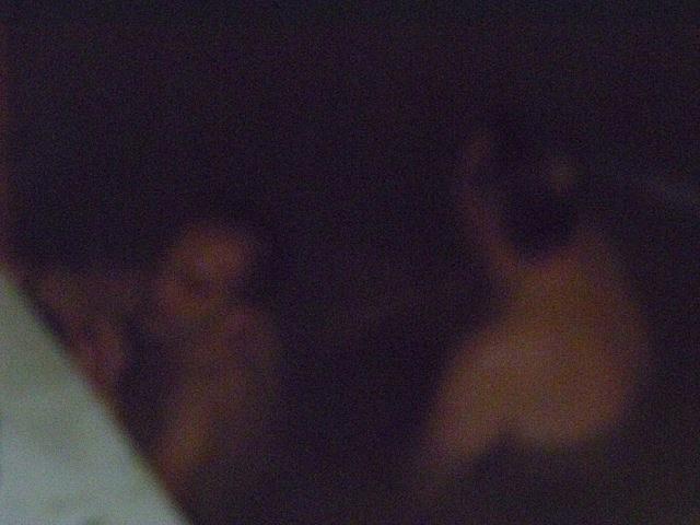 P1170186 [640x480]