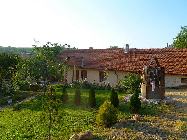 P1150110