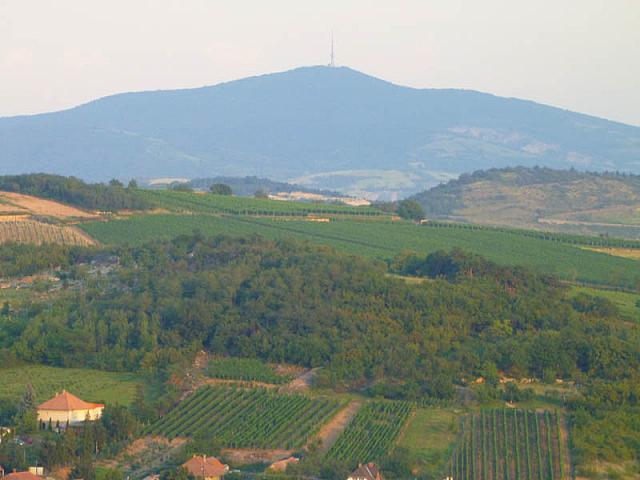 P1150119