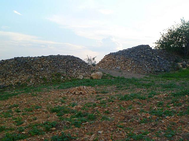 P1150120