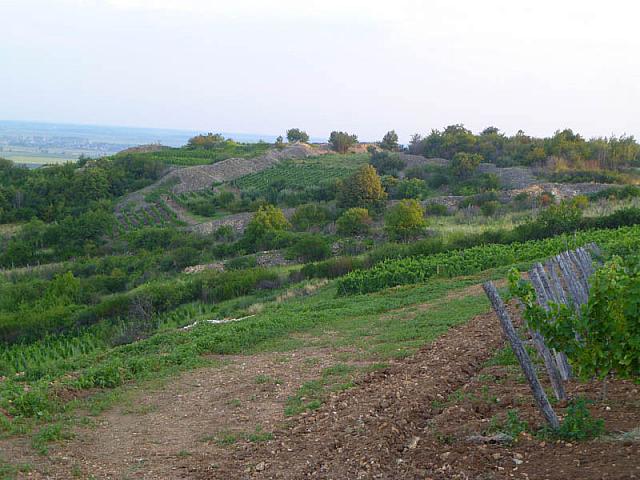 P1150122