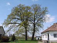 DSC00846