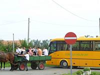 P1050420