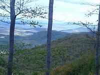 P1070350