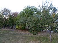 P1070410