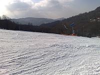201103043045