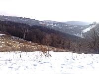 201103043048