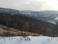 201103043049
