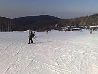 201103043058