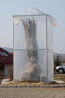  DSC0263